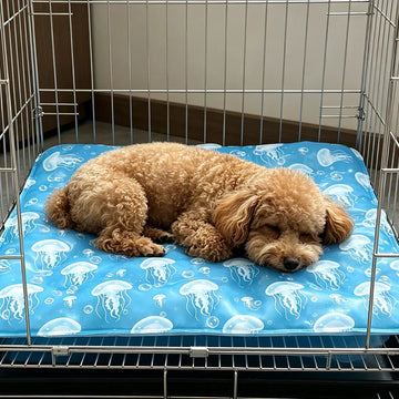 CoolPaws Pet Cooling Mat