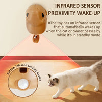 CappyPlay Smart Pet Toy