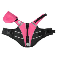 AquaPaws Dog Life Jacket