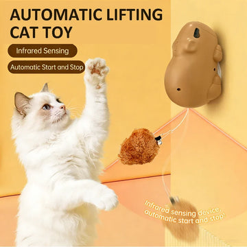 CappyPlay Smart Pet Toy