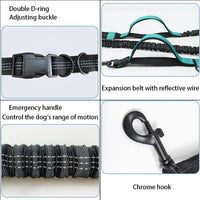 Reflective Dual-Elastic Hands-Free Dog Leash