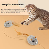 PouncePlay Mouse – The Lifelike Chase Begins